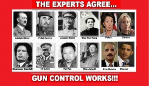 the_experts_agree_gun_control_works